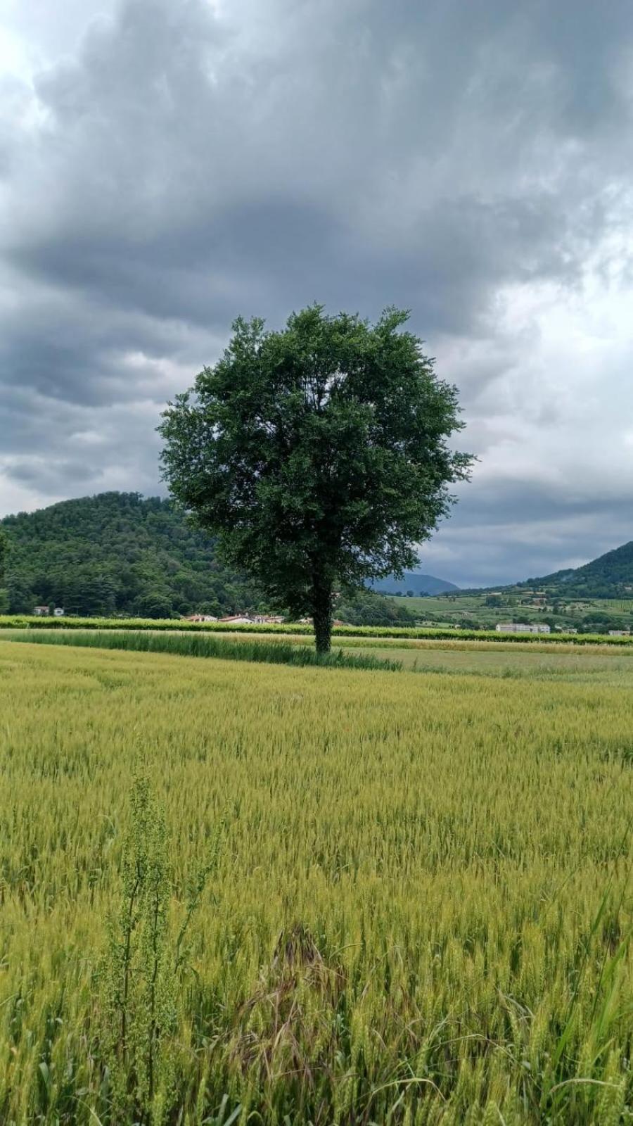 Appartamento Casa Vacanza Abano Terme Euganean Hills Holiday Teolo ภายนอก รูปภาพ