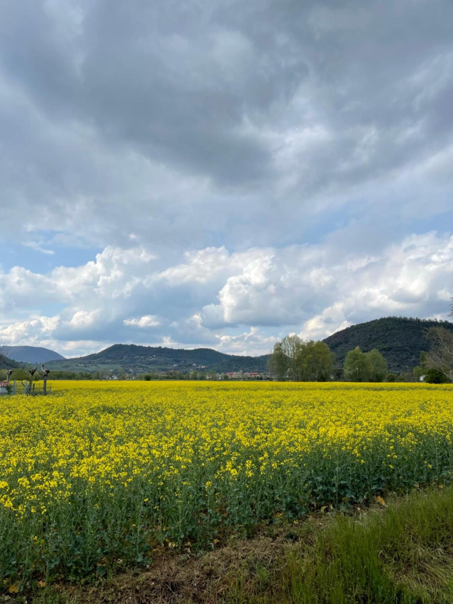 Appartamento Casa Vacanza Abano Terme Euganean Hills Holiday Teolo ภายนอก รูปภาพ