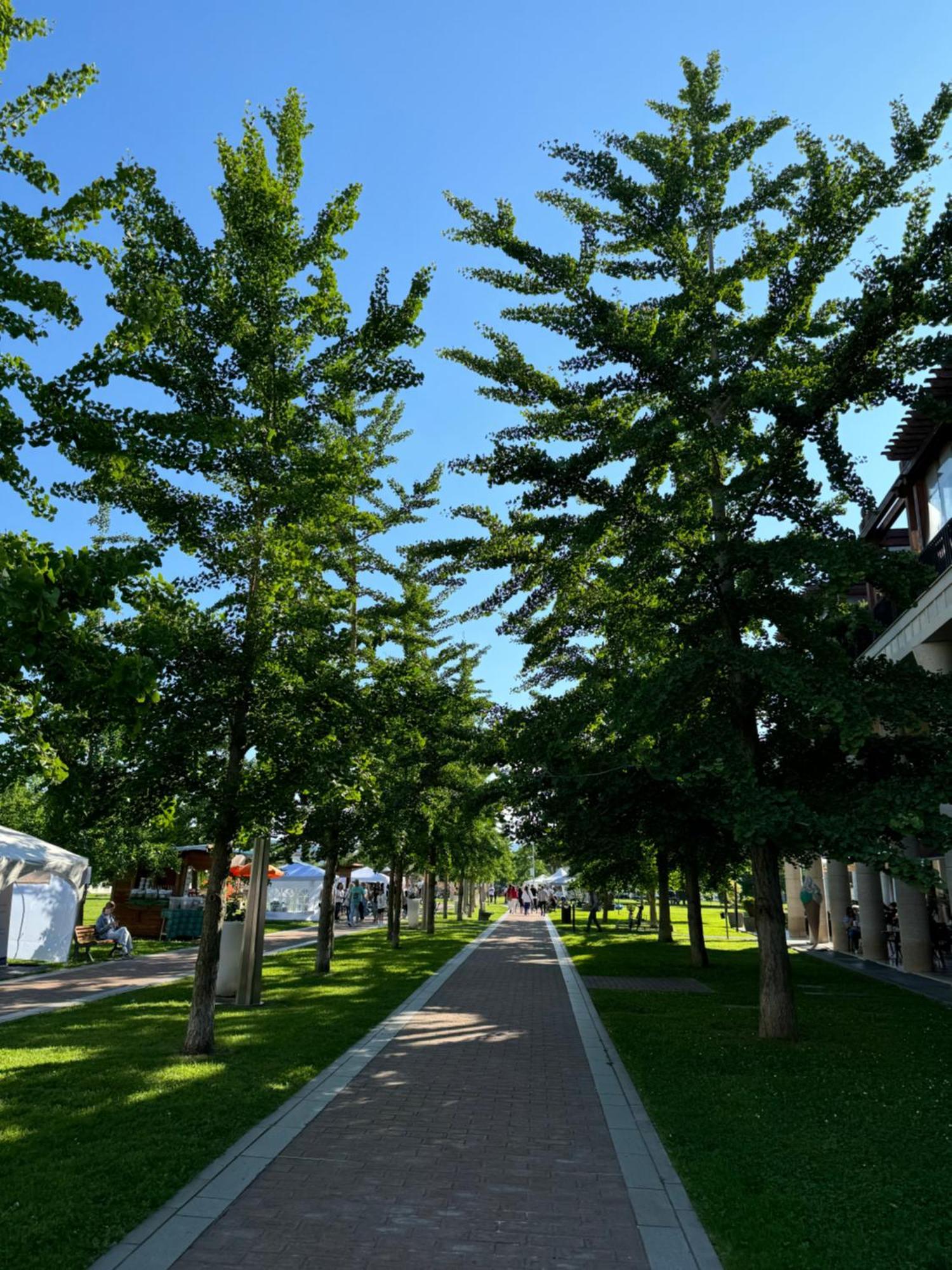 Appartamento Casa Vacanza Abano Terme Euganean Hills Holiday Teolo ภายนอก รูปภาพ
