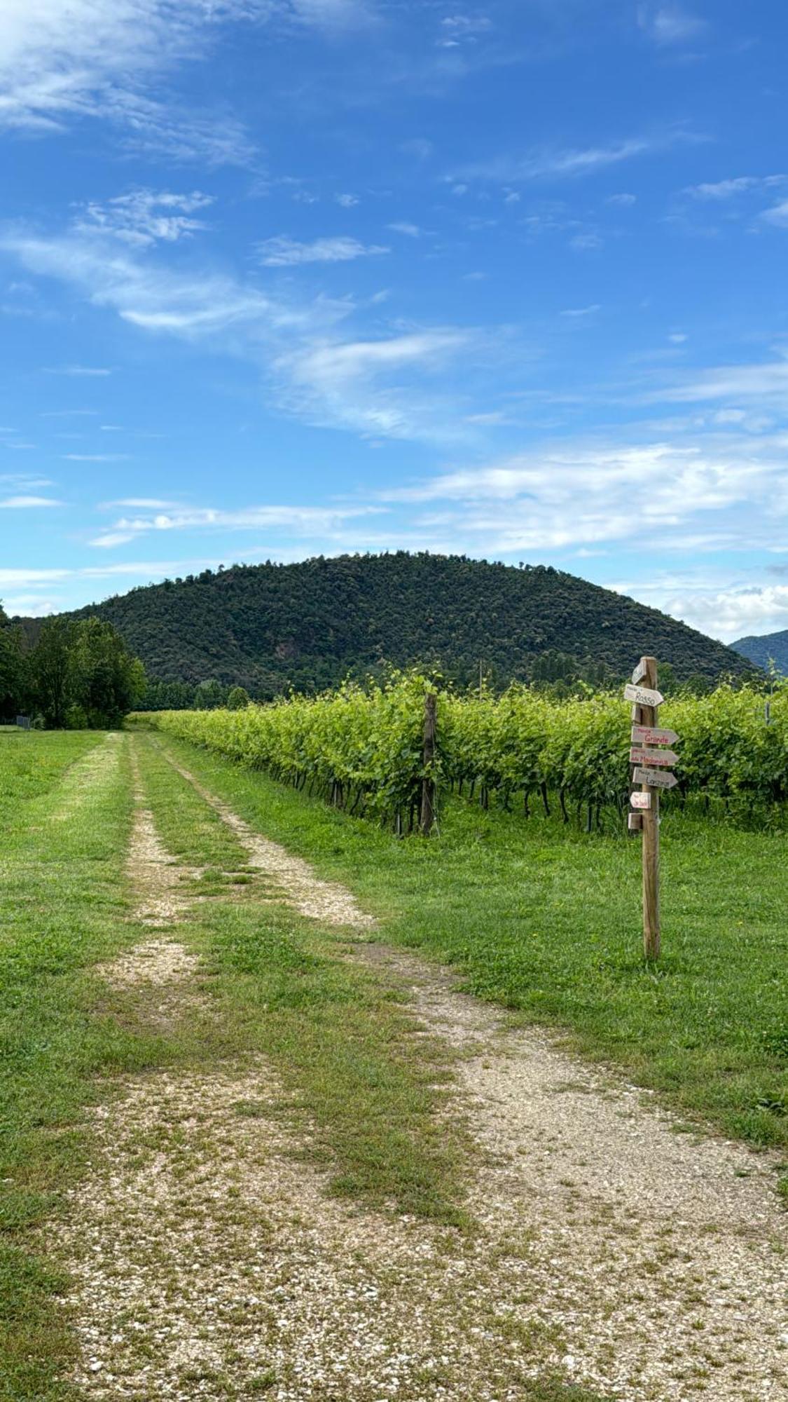 Appartamento Casa Vacanza Abano Terme Euganean Hills Holiday Teolo ภายนอก รูปภาพ