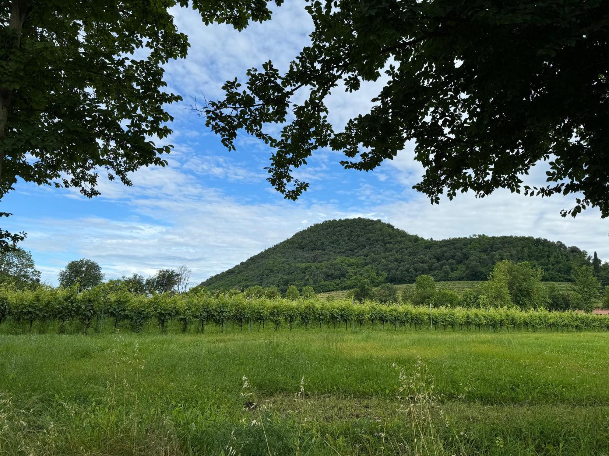 Appartamento Casa Vacanza Abano Terme Euganean Hills Holiday Teolo ภายนอก รูปภาพ